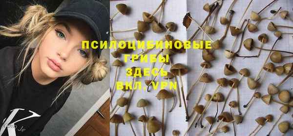 скорость Алексин