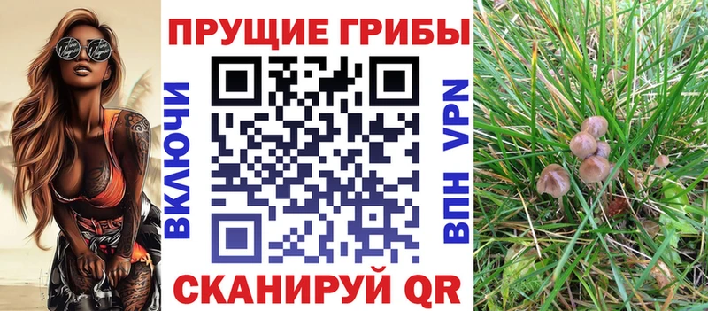 купить наркотик  Липки  Галлюциногенные грибы Magic Shrooms 